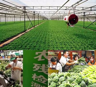 2018农业质量年 农业部八大行动开启农产品提质新篇章