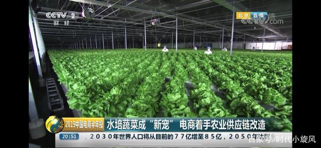 央视点赞 产销一体化新模式，京东植物工厂为农业发展提供新思路