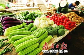 广东冬种开展良好，农产品供应充足价格难大涨