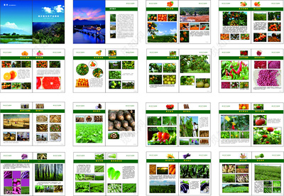 生态农产品画册 品味休闲养生之美